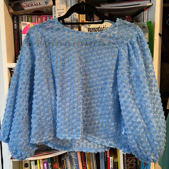 Zara Blue Sheer Rosette Puff Sleeve Top - Picture 1 of 7
